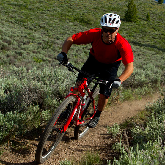 specialized rockhopper 29er